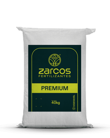 Zyrmag