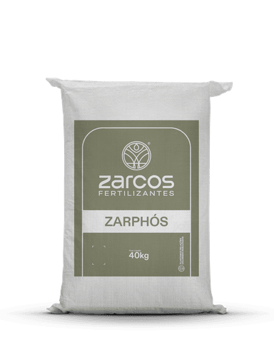 Zarphós